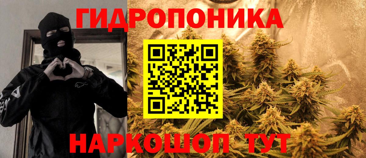 Шишки марихуана конопля Ишим